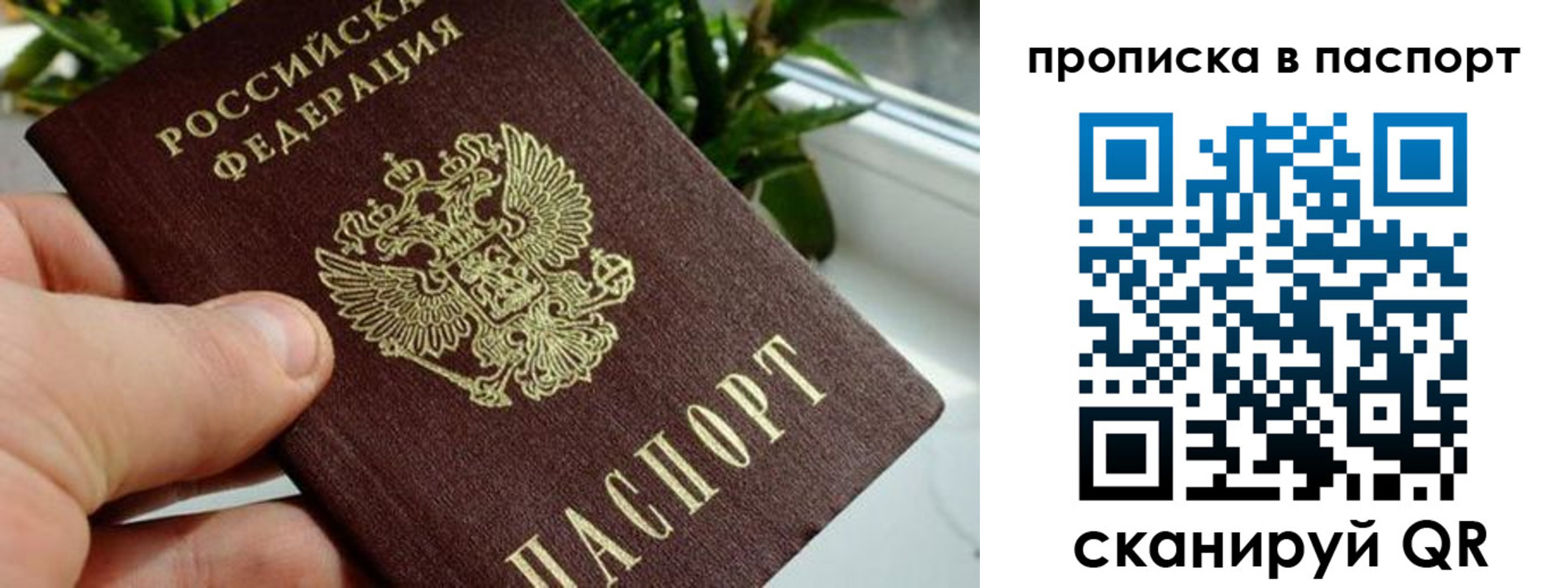 пропишу в квартире в Кольчугино