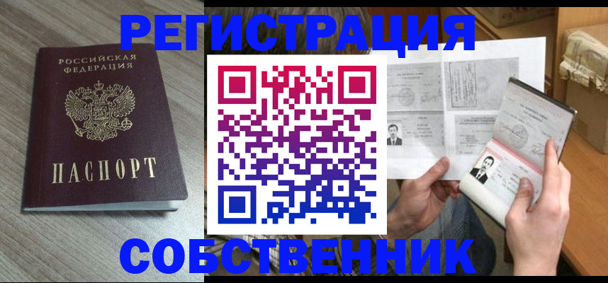 прописка 2025 в Кольчугино