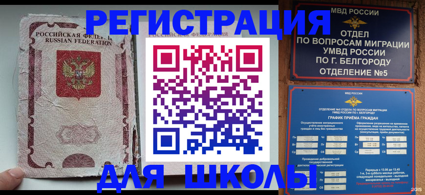 прописка гарантия в Кольчугино